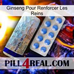 Ginseng For Reinforcing Kidney 39